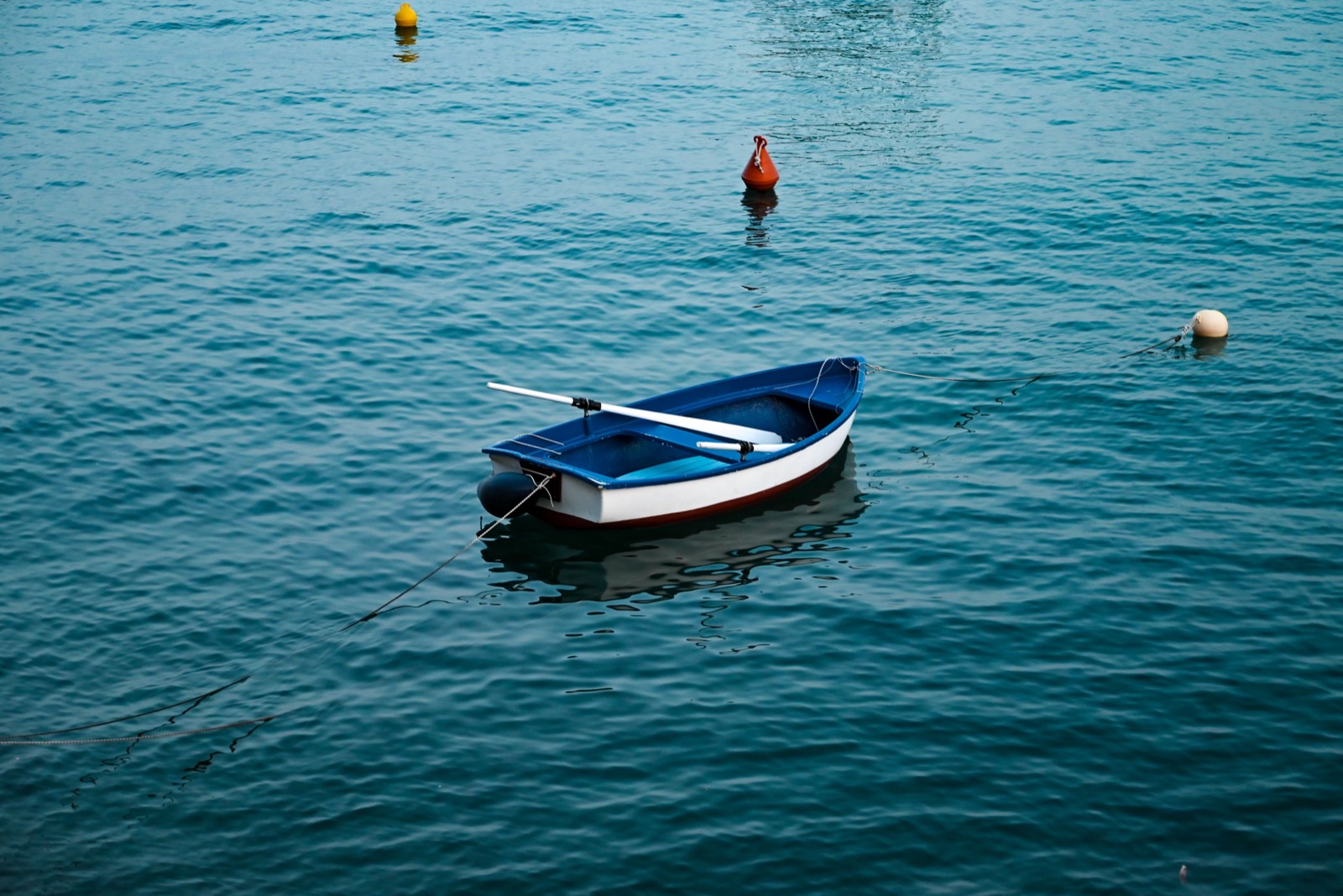 Don't buy the boat. Build the website first.